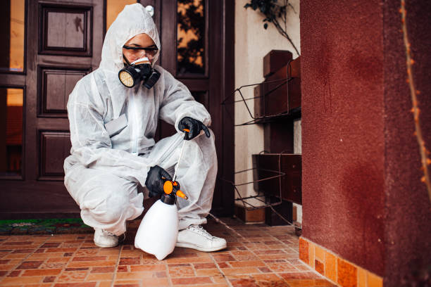 Reliable Mosquito Control contractor in Bethel Park, PA by Show Me Pest Control